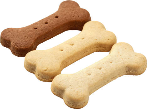 Tasty Bone Shaped Snacks png
