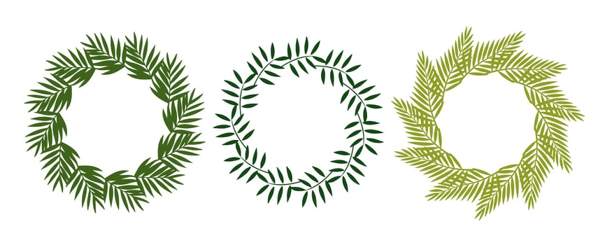 Set of three round tropical leaf frames. Botanical wreaths with palm and fern leaves. Perfect for eco branding, wedding invitations, summer design, and natural cosmetic packaging. vector