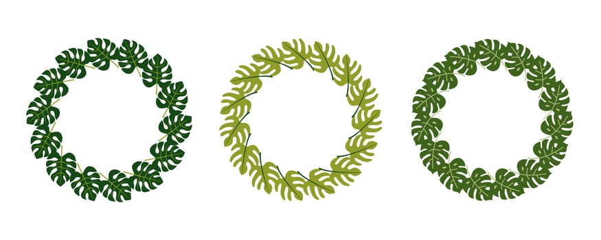 Set of three round tropical leaf frames. Botanical wreaths with green monstera and palm leaves. Perfect for eco branding, wedding invitations, summer design, and natural cosmetic packaging. vector