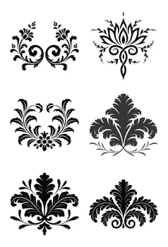 Elegant set of black floral ornamental designs with detailed decorative flourishes on white background vector