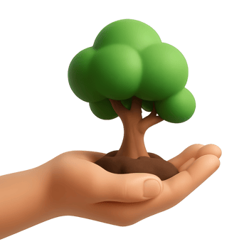 Hand Holding a Small Tree in a Gentle Embrace of Nature png