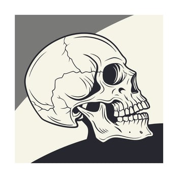 A detailed line art illustration of a human skull in profile view, showcasing its anatomical features. The style is vintage, black and white, with a graphic design aesthetic. vector