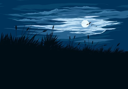 Scenic calm night illustration with grass silhouette, grass and flying birds vector
