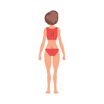 Half-Undressed Female Standing Back View and Making Roentgen Illustration vector