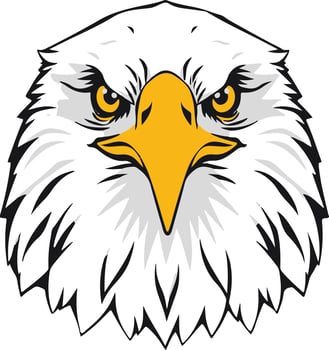 An eagle head with yellow eyes and a white background vector