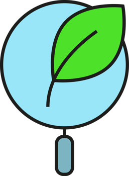 Magnifier and Leaf Icon png