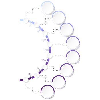 Modern circle infographic template with 8 steps, process or options. png