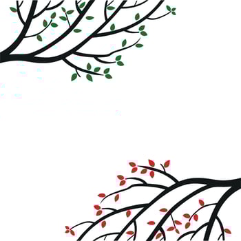 Branches of Trees with Different Colors Leaf on the Black vector