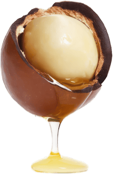 Macadamia Nut Oil Close up of cracked shell revealing creamy nut and golden oil healthy food png