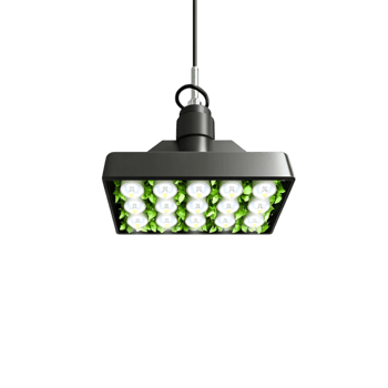 Modern Energy-Efficient Pendant Light Fixture with Bright LED Bulbs for Home or Office png