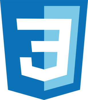 The CSS logo icon png