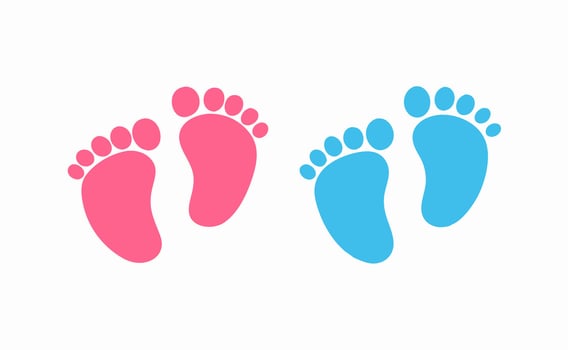 Baby Footprints Gender Reveal Graphic vector