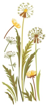 Dandelion flowers and leaves. isolated illustration vector