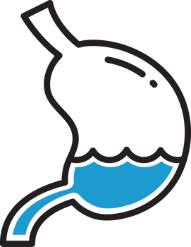 Stomach Icon Illustration png