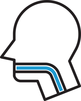 Digestive System Icon png