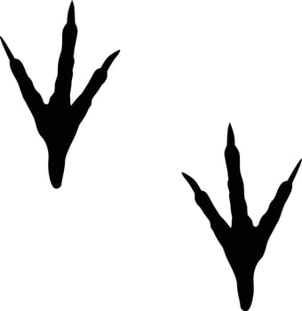 Chicken paw print silhouette. Animal footprint in black color. vector