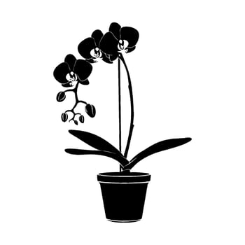 Black Phalaenopsis orchid in pot, silhouette style, white background, concept of minimalism vector