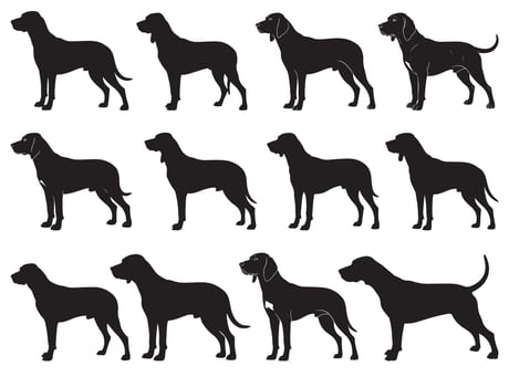 COONHOUND DOG SILHOUETTE vector