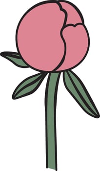 Simple Peony Flower Drawing vector