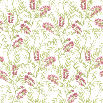 Watercolor images of climbing Meadow grasses in the form of a Seamless Pattern. Hand-drawn blooming wild mouse peas, weeds. Background of botanical plants. For wallpaper, clothes, fabrics. png