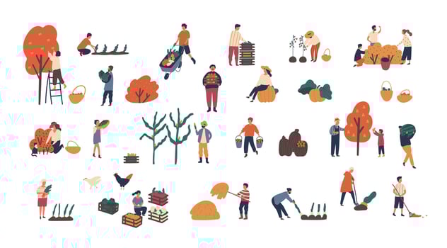Crowd of tiny people gathering crops or seasonal harvest. Bundle of men and women collecting ripe fruits, berries and vegetables isolated on white background. Flat cartoon illustration. vector