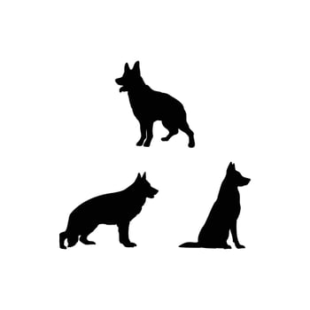 Coyote and Wolf Silhouette Set Featuring Wild Canines in Various Walking Poses Isolated on White Background for Wildlife and Nature Design Projects vector