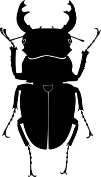Silhouette illustration of Stag Beetle on transparent Background. High contrast black silhouette of a stag beetle with detailed legs and antler like mandibles on a clean transparent background. vector