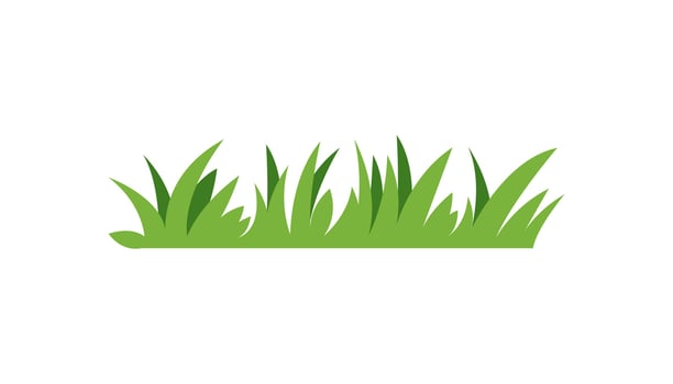 Green Grass Blades, Nature, Lawn, Meadow, Spring, Field, Vegetation, Plant, Summer, Ecology vector