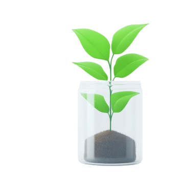 A green plant with vibrant leaves growing from soil inside a glass jar. png