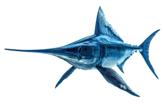 A sleek, blue swordfish glides gracefully through the water, showcasing its long bill and streamlined body. png