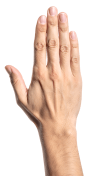 realistic front view of raised human hand with open fingers in stop or greeting gesture, male hand communication symbol with natural skin texture on isolated background png