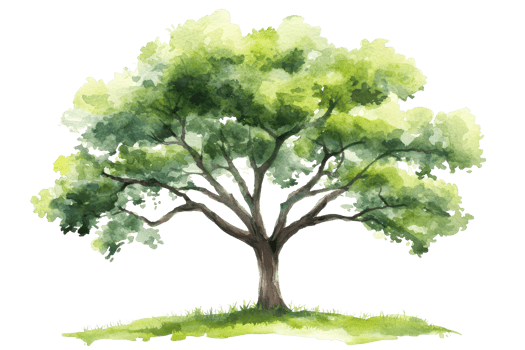 A lush, green tree with a wide canopy and strong branches, depicted in a watercolor style. png
