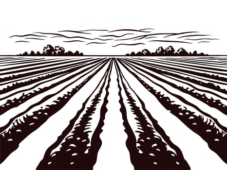 Expansive farmland with plowed rows under cloudy sky at sunset vector