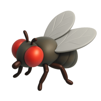 Simple 3D Fly Render with Detailed Texture and Realistic Features png