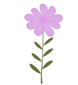 Cute minimal flowers purple png