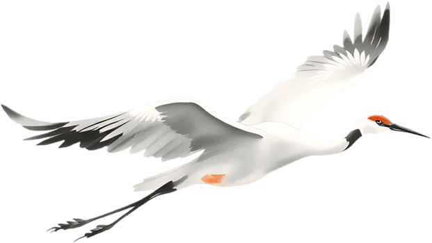 Elegant flying crane illustration with soft artful brushwork. . png
