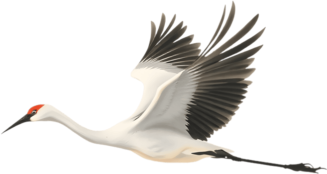 Peaceful crane flying in minimalist brushstroke artistic motion. . png