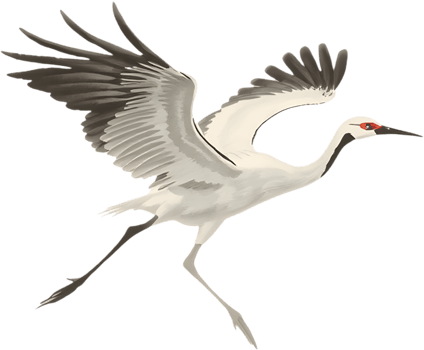 Artful depiction of crane flight using soft brush expression. . png