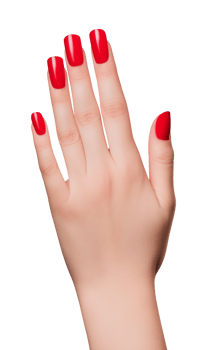 Woman Hand Showing Long Nails with Red Nail Polish Isolated on Transparent Background png