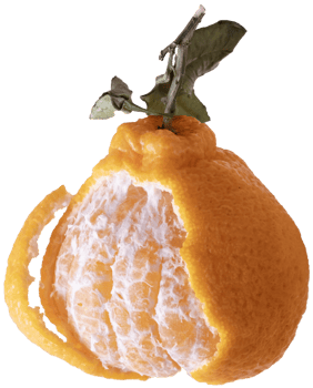 large chinese tangerine with leaves, with slices inside, on transparent background png