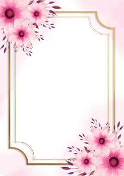 A pink frame with flowers on it png