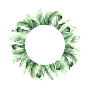 Watercolor frame of tropical palm leaves illustration isolated. Round template from exotic plants. Hand drawn lush greenery foliage bananas in realistic style. Botanical floral border with copy space. png