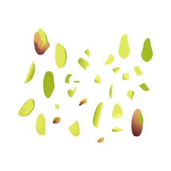 Set of pistachios whole and in pieces vector