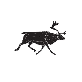 Hand drawn doodle sketch reindeer isolated on white background vector