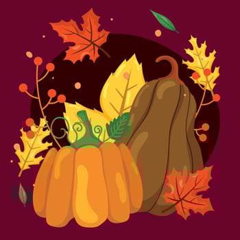 Pumpkin and squash fall decor. vector