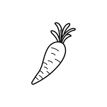 carrot simple line art png