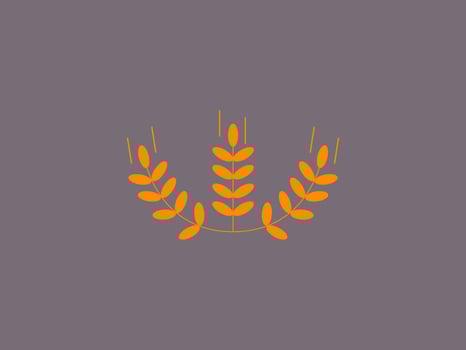 composed of three wheat or grain stalks vector