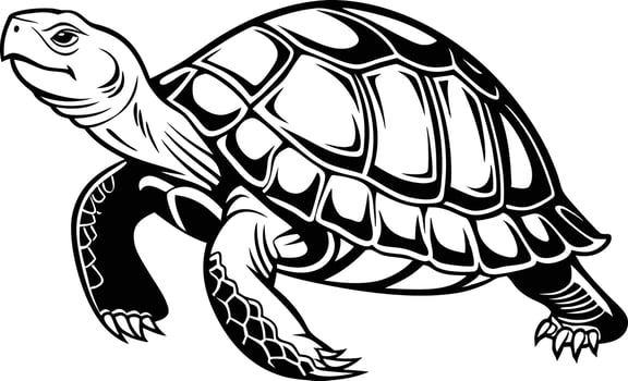 Turtle Crawl Design Illustration for Nature Art vector