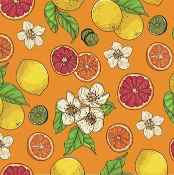 Fresh delicious citrus hand draw fruits lemons oranges flowers seamless pattern vector