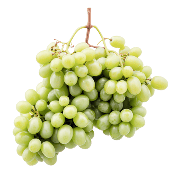 Bunch of Fresh Green Grapes Cluster with Transparent Background Still Life png